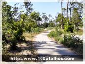 Click na foto para ampliar!