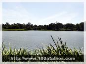 Click na foto para ampliar!