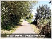 Click na foto para ampliar!