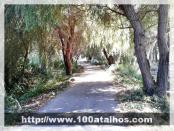 Click na foto para ampliar!