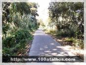 Click na foto para ampliar!