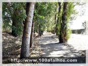 Click na foto para ampliar!