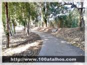 Click na foto para ampliar!