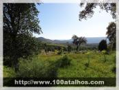 Click na foto para ampliar!