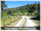 Click na foto para ampliar!