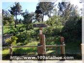 Click na foto para ampliar!