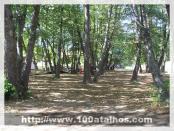 Click na foto para ampliar!