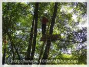 Click na foto para ampliar!