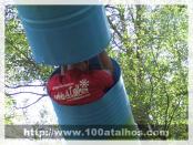 Click na foto para ampliar!