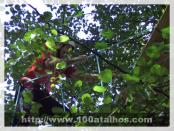 Click na foto para ampliar!